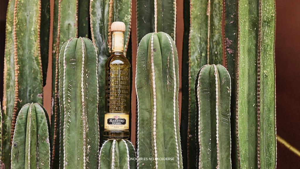 ¿Por qué Maestro Dobel Reposado es el mejor tequila de maduración lenta?