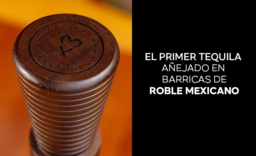 Un perfil sensorial pionero.